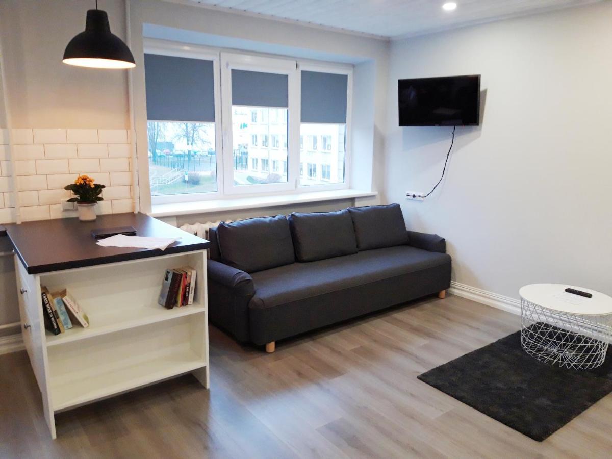 Alytus Ziburio Studio 외부 사진